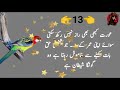 استعمال شدہ عورت کی نشانیاں youtube aqwal