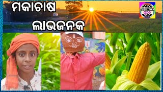 ସୂଚକ ଖବର@ମକା ଏକ ଲାଭଜନକ ଫସଲ @Maize is beneficial corp  ep228dt 24.12.2023.Sunday@soochaka