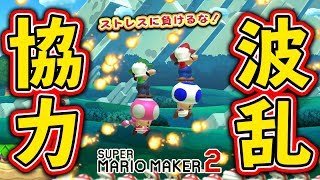 ストレスを抱えた仲間と協力したらwww【マリオメーカー2:みんなでクリア】