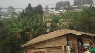 African Panaxia and Honey sold on my road trip Bamenda to Douala, Cameroon