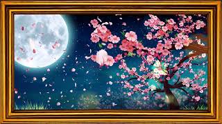 4K TV Motion Art | Cherry Blossom Night