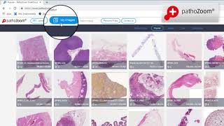 Tutorial PathoZoom® SlideCloud: How to work with your images