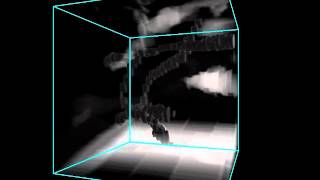 volume ray-casting