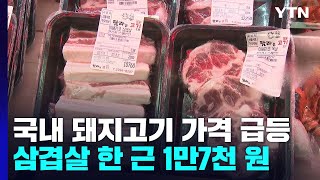 사룟값 상승에 삼겹살도 '금값'...\