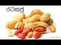 බබාගේ බර වැඩි කරන ආහාර වර්ග 30ක්