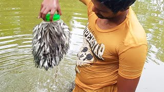 Bottle Fish Trap | Amazing Boy Catch Fish With Plastic Bottle Fish Trap (Part-2)
