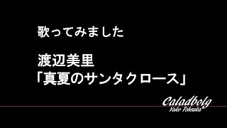 渡辺美里 「真夏のサンタクロース」 歌ってみた カラオケ 【弥子008】