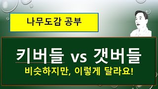 키버들 vs 갯버들 : 비슷하지만 이렇게 달라요!