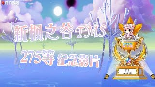 【TMS 新楓之谷】影武者 275等 紀念影片/Maplestory  Dual Blade LV.275  memorial video/메이플스토리 듀얼블레이더 LV.275 기념 영화