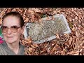 forgotten hilltop joe taylor cemetery in remote heenon kentucky