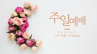 12-29-2024 주일 1부 예배