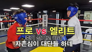 키스(프로2승)vs 엘리트(아마 복서) 죽기 살기로 하네-자존심이 대단들 하네 #boxing #권투 #복싱 #스파링 #챔피언 #유산소운동 #제이나인  #장정구복싱