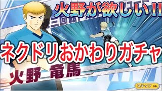 たたかえドリームチーム第519話　やっぱり火野が欲しい！ネクドリおかわりガチャ。