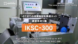 HIGH SPEED DICING MACHINE IKSC-300