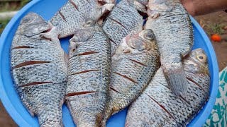 Chilapi | चिलापी |#Shorts | फिश कटिंग | Fish Cutting | kalpanas Recipe | Chilapi fish | seafood