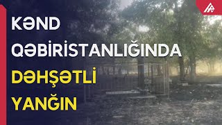 Şabranda iki kənd qəbiristanlığına da yanğın keçdi - APA TV