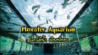 Monsters Aquarium Pattaya .. พาดูปลาสวยงาม + สัตว์แปลก .. ราคารวมกันหลายล้านบาท