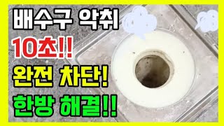 배수구 악취 없애는 방법! 욕실 하수구 냄새 완벽 차단! #생활꿀팁 #꿀단지