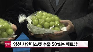 영천 샤인머스캣 수출 50%는 베트남