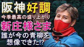 阪神好調！ 新庄様さまやな 2022年6月6日