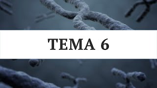 TEMA 6 | Psicobiología | UNED