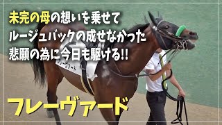 【フレーヴァード / モーリス産駒】母は重賞４勝馬ルージュバック！今後の活躍が楽しみな1頭（3歳以上1勝クラス2023.7.29）