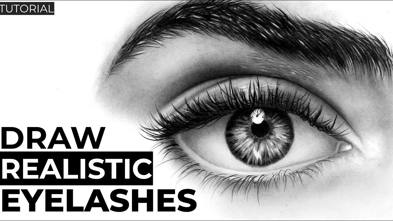 How To Draw Eyelashes Step By Step For Beginners | EASY TIPS You Wish ...