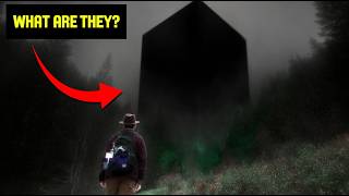 What Is This Mysterious Black Cube in the Woods?