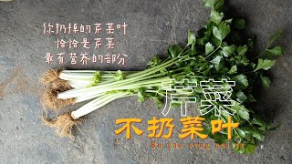 吃叶还是吃茎？芹菜最有营养的部分，可能被你扔了