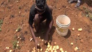 An Exclusive on the Farming Crisis in Vattamada......