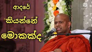 බොරැ ආදරයේ විපාක || walimda saddasila himi