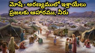 మోషే - అరణ్యములో ఆహారము , నీరు || Bible stories vav