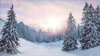 Snow Falling Ambience with Peaceful Music