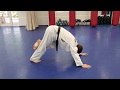 Online Course: Kids Beginner TKD: Lesson #19