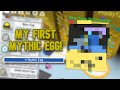 Getting my first MYTHIC EGG! | Bee Swarm Simulator