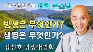 방생은 무엇인가? 생명은 무엇인가? | 청화스님 법문 장성호 방생법회 19931024