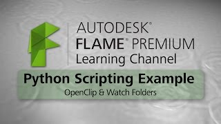 Python Scripting - OpenClip and Watch Folders - Flame Premium 2016 EXT 1