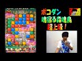 【ポコダン】『魂宿る森魂鳥』超上級を攻略！