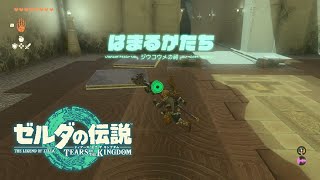 【ジウコウメの祠】はまるかたち 攻略 宝箱【ゼルダの伝説 ティアーズオブザキングダム】