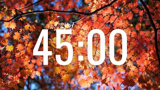 45 Minute Fall Timer with Relaxing Music for Classrooms