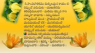 భూషణవికాస! శ్రీధర్మపుర నివాస!దుష్ట సంహార! నరసింహ! దురితదూర!20