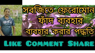 সবজিতে সেক্স ফেরোমন ফাঁদ ব্যবহার পদ্ধতি!#funny #agriculture #farming #comedy #urbanagriculture#food