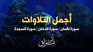 أنس براق مباشر: أجمل التلاوات سورة لقمان، السجدة والدخان بصوت عذب