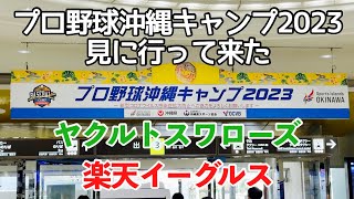 【春季キャンプ】プロ野球沖縄キャンプ2023見に行って来た 〜東京ヤクルトスワローズ＆東北楽天ゴールデンイーグルス〜 【浦添市・金武町】