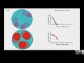 the autocorrelation function the key to understanding your biological molecules