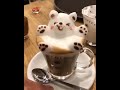 cat face in the cup 😺SUBSCRIBE 👇 #cat#pet#kucing#coffee#subscribe#beverage