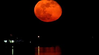 The Red Moon rises over the waters - December 16 2024 moonrise