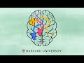 How the brain learns to read