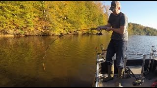 How to catch flathead catfish