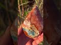 Orange calcite and blue apatite crystal freeform flames from Brazil 🤩 should we restock more of thes